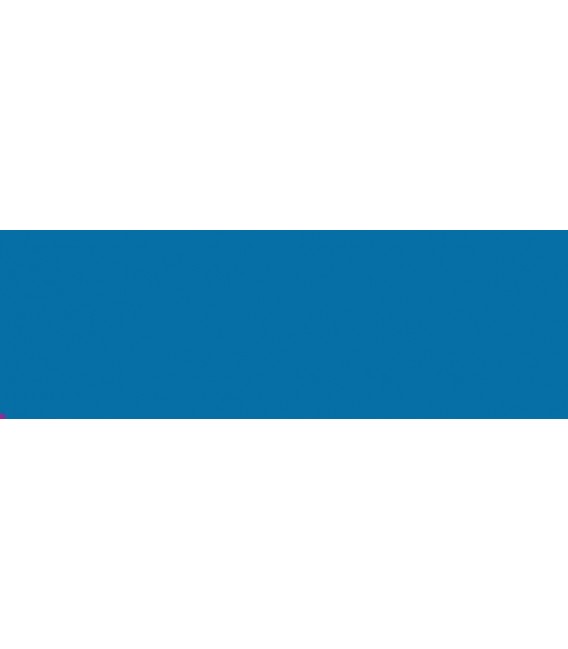 22) 5049 Brillant Bleu Premo Accents 57 grs.