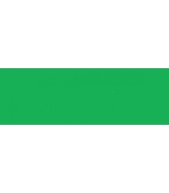 29) 665 Spring green liquid water colour Ecoline 30 ml.