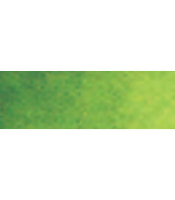 29) 623 Verde vejiga acuarela pastilla Van Gogh.