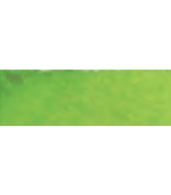 23) 633 Verd groc permanent aquarel.la pastilla Van Gogh.