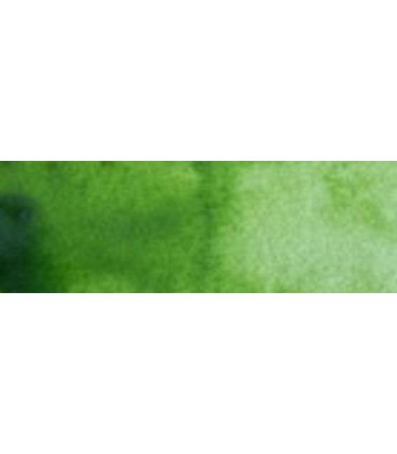 26) 599 Verd bufeta aquarel.la pastilla Cotman.