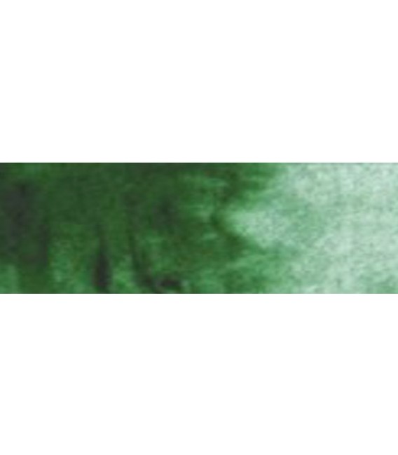 24) 312 Verde hook oscuro acuarela pastilla Cotman.