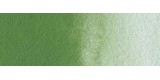 61) 668 Chromium oxide green watercolor pan Rembrandt.