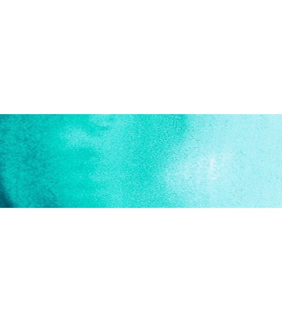 49) 640 Bluish green watercolor pan Rembrandt.