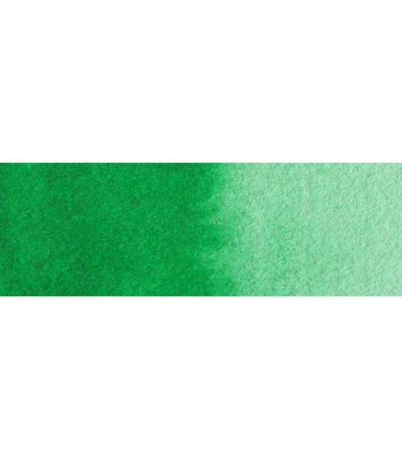 51) 662 Permanent green watercolor tube Rembrandt 5 ml.