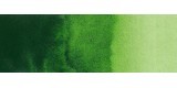 58) 623 Verde vejiga acuarela tubo Rembrandt 5 ml.