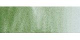 60) 629 Green earth watercolor tube Rembrandt 5 ml.