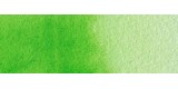 50) 633 Permanent yellowish green watercolor tube Rembrandt 5 ml
