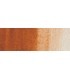 66) 411 Terra Siena torrada aquarel.la tub Rembrandt 20 ml.