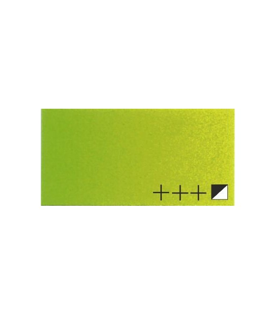 38) 617 Yellowish green acrylic Rembrandt 40 ml.