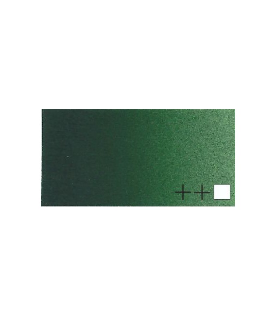 45) 623 Verde vejiga acrilico Rembrandt 40 ml.