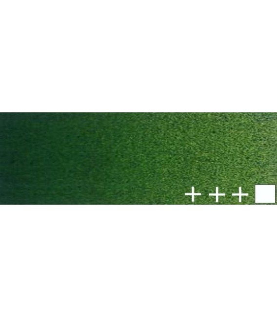 081) 623 Sap green oil Rembrandt 40 ml.