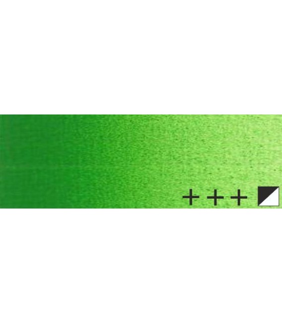 070) 618 Verde permanente claro oleo Rembrandt 40 ml.