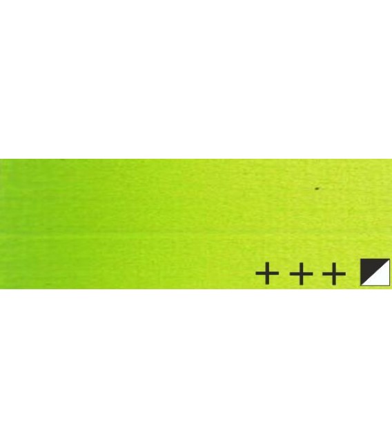 069) 633 Permanent yellow green oil Rembrandt 40 ml.