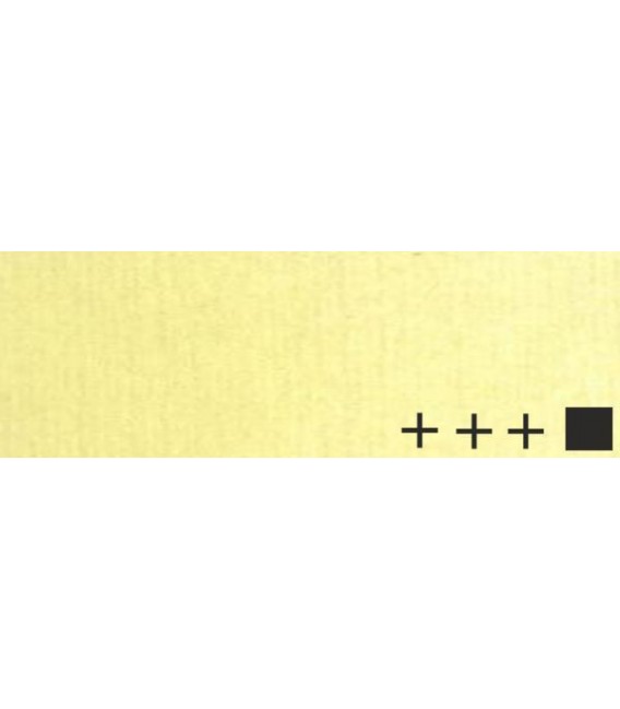 020) 282 Groc Napols verd oli Rembrandt 40 ml.