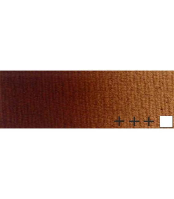 104) 418 Stil de grain brown oil Rembrandt 40 ml.