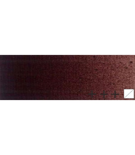 043) 323 Carmi torrat oli Rembrandt 40 ml.