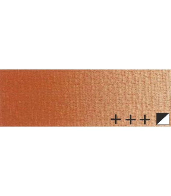 120) 805 Coure oli Rembrandt 40 ml.