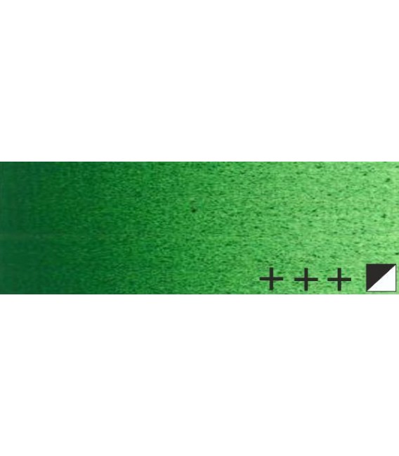 071) 614 Verde permanente medio oleo Rembrandt 40 ml.