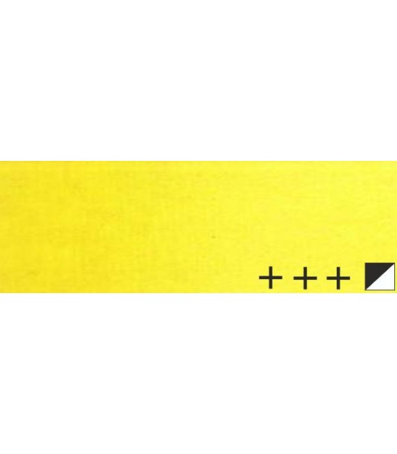 009) 254 Amarillo limon permanente oleo Rembrandt 15 ml.