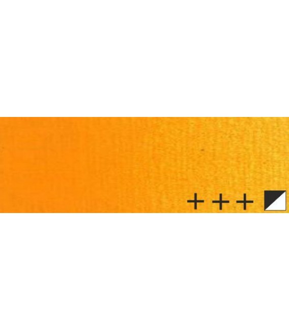 015) 285 Groc permanent fosc oli Rembrandt 15 ml.