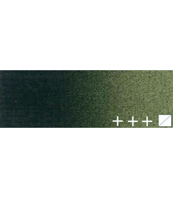 085) 629 Green earth oil Rembrandt 15 ml.