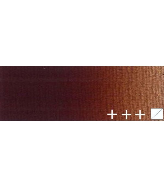 101) 411 Burnt sienna oil Rembrandt 15 ml.