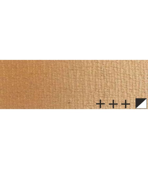 119) 811 Bronze oil Rembrandt 15 ml.