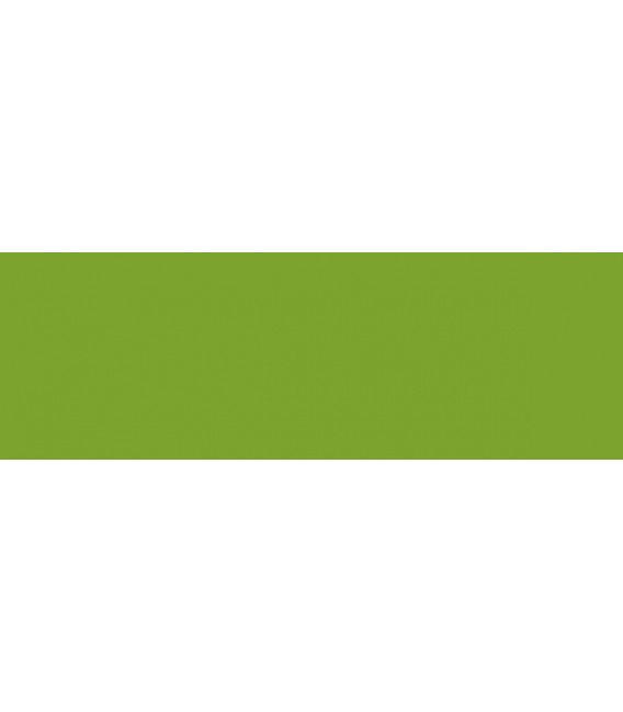 110) 954 Feuillage frais pinture acrylique FolkArt Premi 59 ml.