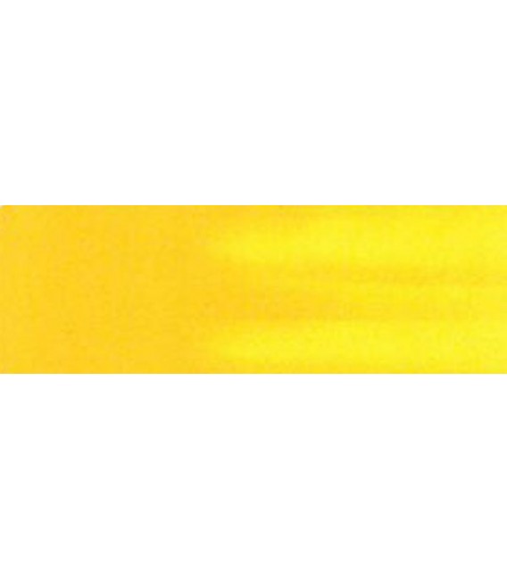 10) 29 Amarillo TITAN oscuro oleo Titan 20 ml.