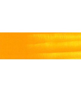 12) 25 Giallo indiano olio Titan 60 ml.