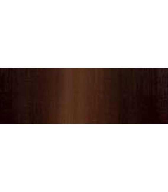 50) 223 Terre ombre brulee huile Daler-Rowney Georgian 38 ml.