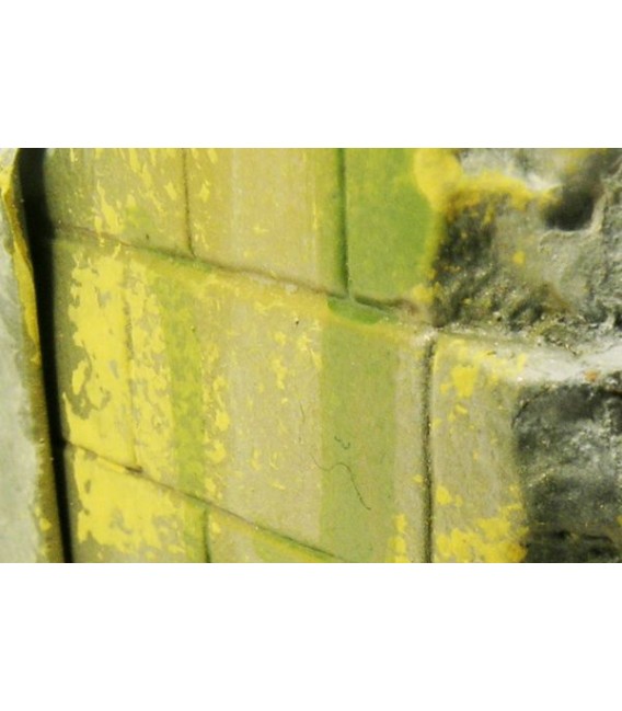 73.827 Vallejo Efectes de Molsa i Liquen (40 ml.)