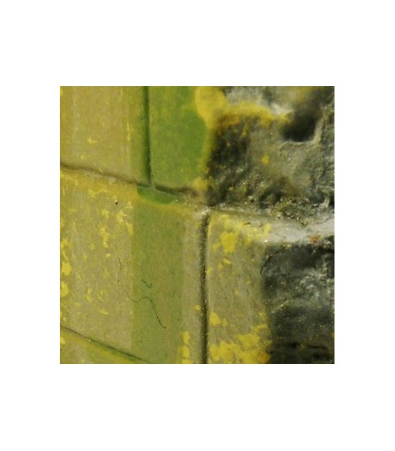 73.827 Vallejo Efectos de Musgo y Liquen (40 ml.)