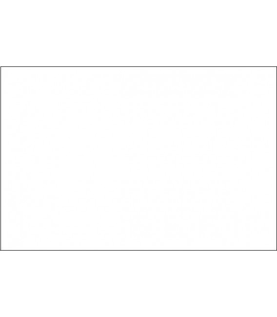 141 Spectra-Tex Transparent Tint White (060 ml.)