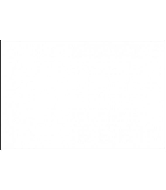 172 Spectra-Tex Fluorescent Neon Black light (060 ml.)