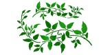 Stencils 21x29,7 Branch with leaves KSG345