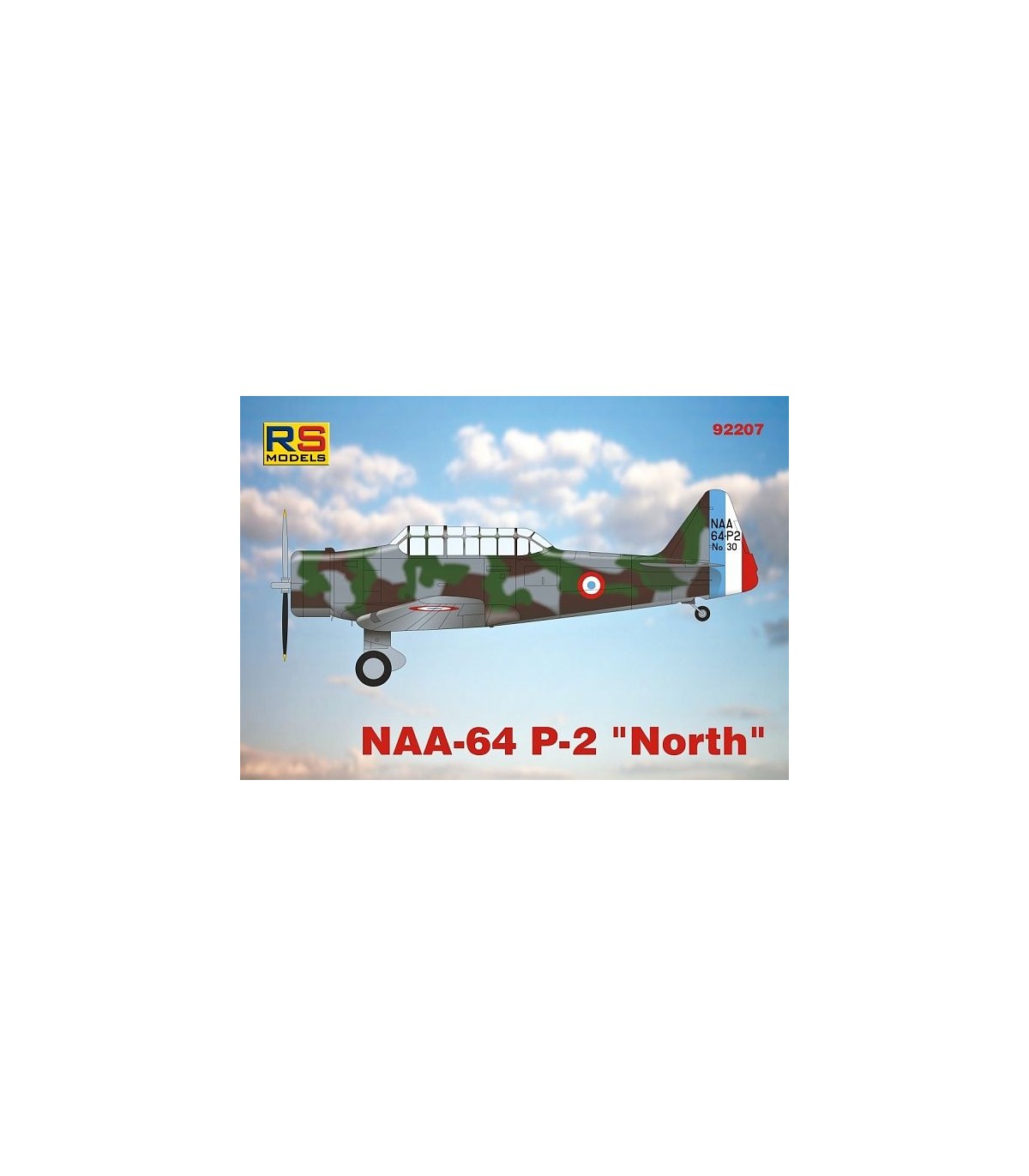 RS Models 92207 NAA-64 P-2 North 1/72
