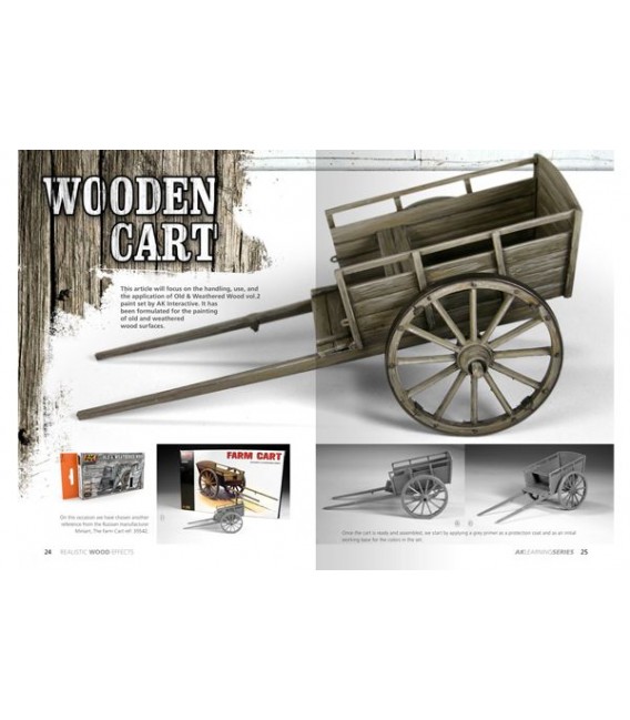 AK259 Realistic Wood Effects Learning Series 01 - English