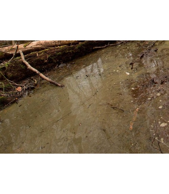 AK8006 Water gel swamp green 250 ml.