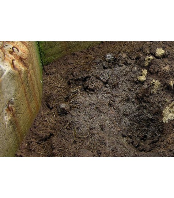 AK8017 Terrains muddy ground 250 ml.