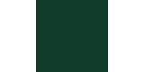 34312 Brunswik Green Peinture Spray Ghiant H2O Textile 150 ml