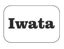 recambios para aerografos Iwata
